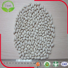 Высококачественная фасоль белого цвета HPS Long Shape White Beans